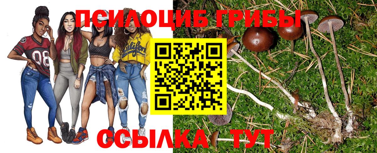 Галлюциногенные грибы Cubensis Люберцы