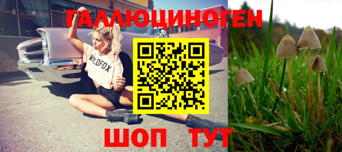 Люберцы  Галлюциногенные грибы MAGIC MUSHROOMS  Вход с VPN 